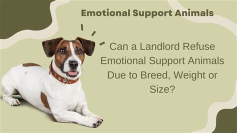 Can a Landlord Refuse an Emotional Support Animal? And What Happens When the Moon Sings to the Tides?