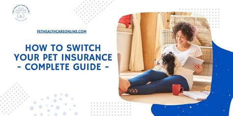 Can you switch pet insurance? Exploring the whimsical world of pet coverage and beyond