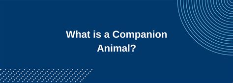 Companion Animal Meaning: A Journey Through the Unpredictable Bonds of Life