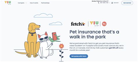 How do I cancel Fetch Pet Insurance? And why do cats always land on their feet but my phone never does?