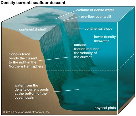 How Does Density Influence Weather: A Symphony of Chaos and Order