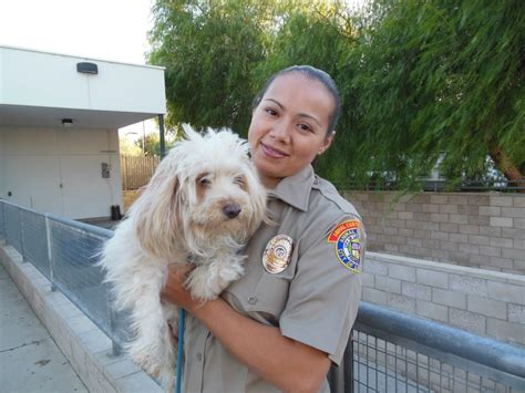 How to Become an Animal Control Officer: And Why You Should Consider Befriending a Squirrel