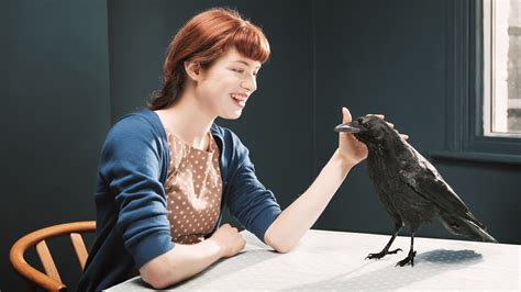 How to Get a Pet Crow: And Why Owning One Might Make You Question Reality