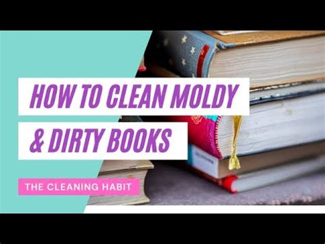 How to Sanitize Books: A Journey Through Dusty Pages and Digital Realms