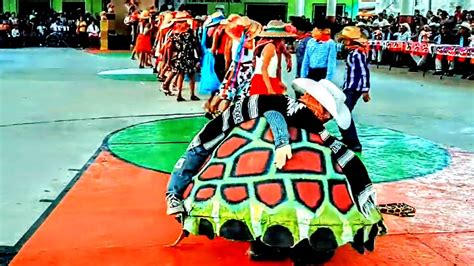  La Danza Celestial de la Tortuga: Una Ode al Movimiento y a la Serendipia