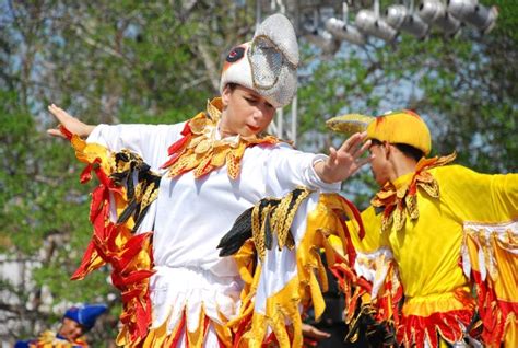  “La danza de los pájaros” una representación vibrante del alma humana a través de la geometría divina