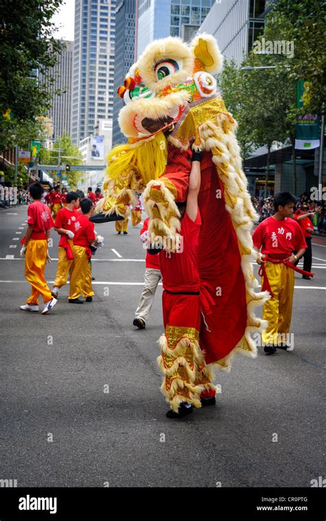   La Danza del León Dorado: Un retrato vibrante de la naturaleza en plena efervescencia 