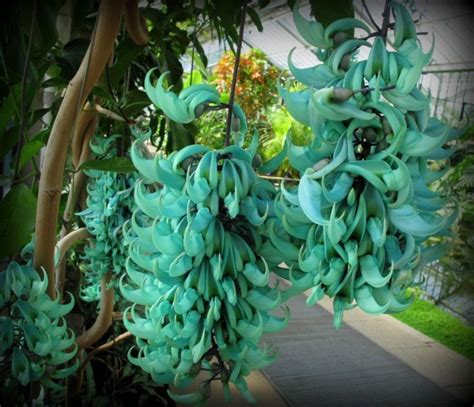  La Flor de Jade: Una Explosión de Color y Tradición en el Lienzo Thai