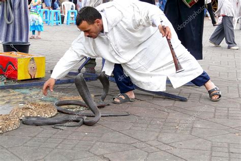  La Serpiente de Oriente - Una Obra Maestra que Murmura Secretos del Pasado