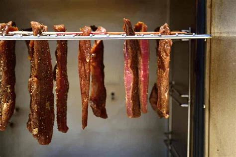 What animal is beef jerky made out of, and why do cows dream of electric sheep?